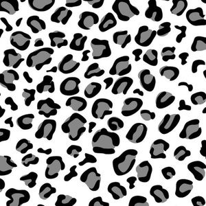 Meet your Posher, Maya